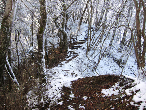 20191129hike (366)